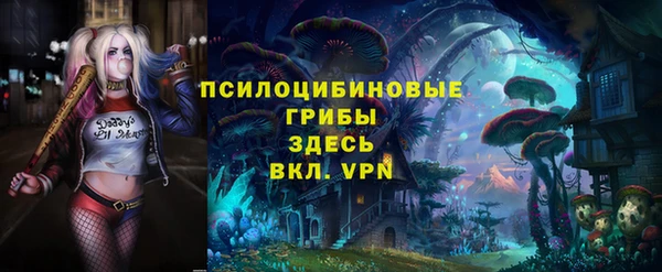 сатива Арсеньев