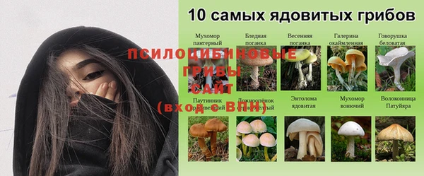 сатива Арсеньев