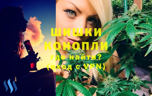 стаф Семилуки