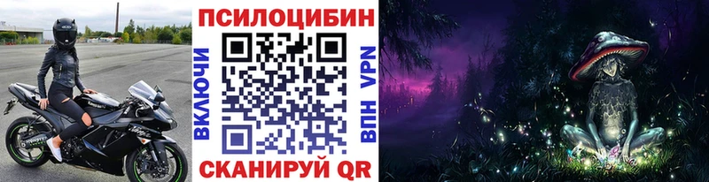 Галлюциногенные грибы Psilocybine cubensis  Асбест 